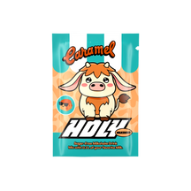 Próbka HOLY Milkshake®